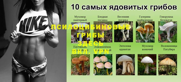 эйфоретик Абдулино